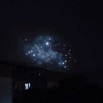 gaijin pass官方版下载