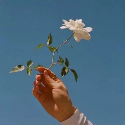网易影之刃2官方下载