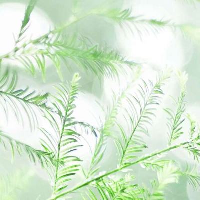 忠义水浒手机版(暂未上线)v1.8.19 安卓版