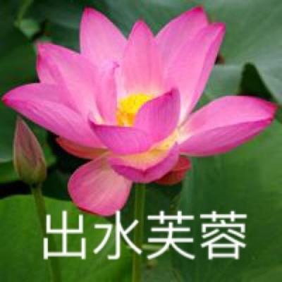 嗜魂online游戏红包版下载