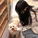 英魂之战破解版下载